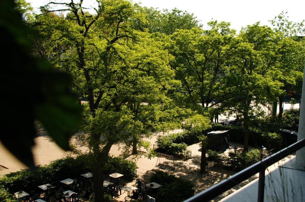 Treetop Apartment The Hague Room photo